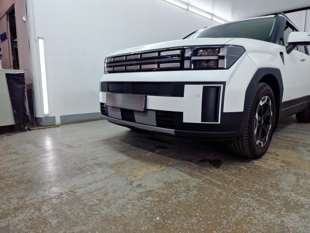 Защитная сетка радиатора низ 2 части для Hyundai Santa Fe V (MX5)