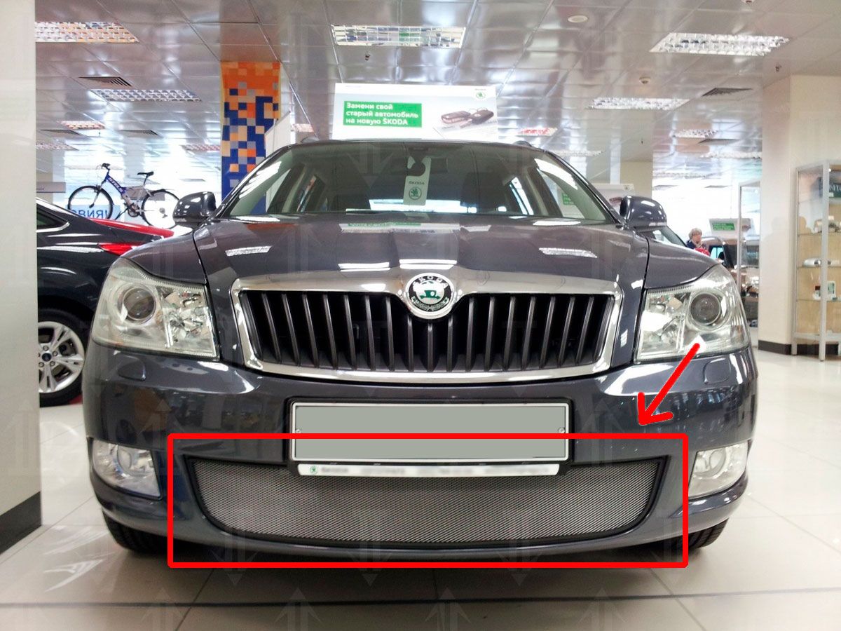 Защитная сетка радиатора для Skoda Octavia II (A5) Рестайлинг