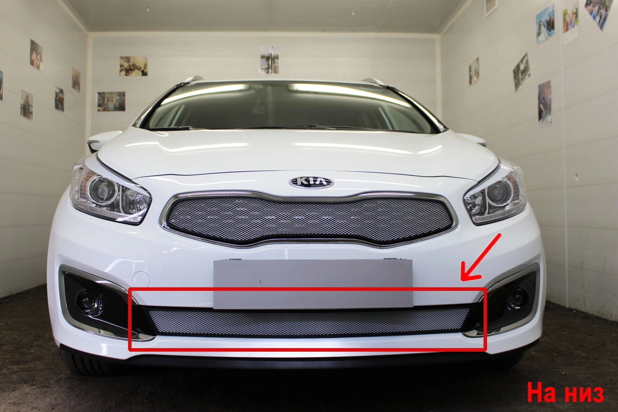 Защитная сетка радиатора низ для Kia Ceed II Рестайлинг