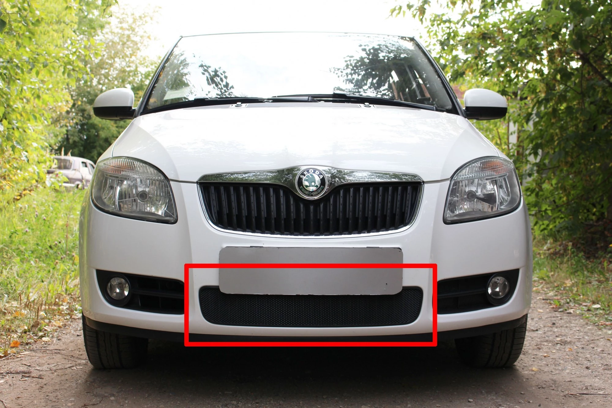 Защитная сетка радиатора для Skoda Fabia II