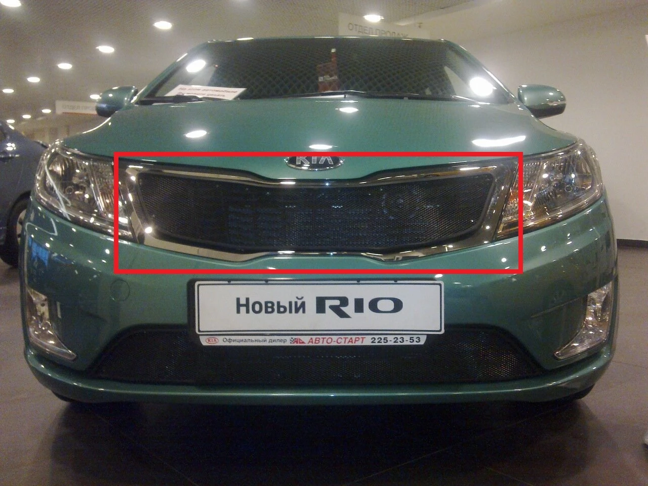 Защитная сетка радиатора верх для Kia Rio III