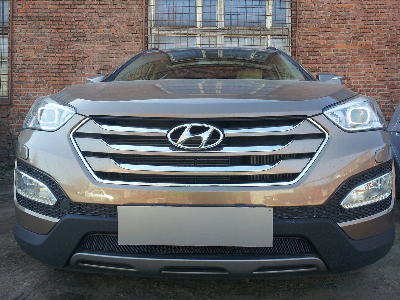 Защитная сетка радиатора для Hyundai Santa Fe III