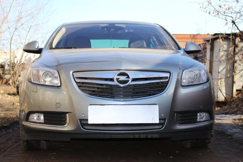 Защитная сетка радиатора для Opel Insignia I