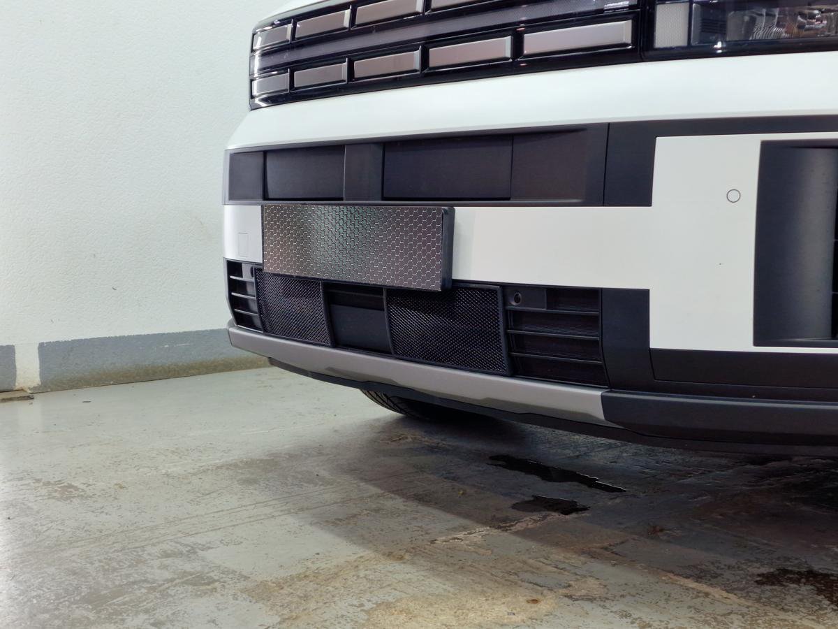 Защитная сетка радиатора низ 2 части для Hyundai Santa Fe V (MX5)