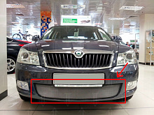 Защитная сетка радиатора для Skoda Octavia II (A5) Рестайлинг