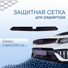 Защитная сетка радиатора верх, с камерой для Geely Tugella I Рест